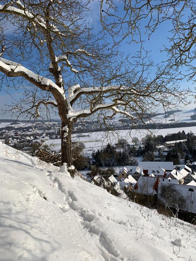 Wohlfuehl Appartments Felsberg Dış mekan fotoğraf